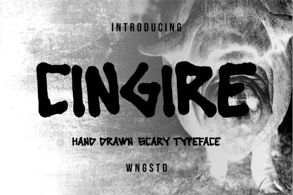 Cingire: The Font That Transformed My Bakery’s Brand